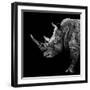 Safari Profile Collection - Rhino Black Edition II-Philippe Hugonnard-Framed Photographic Print