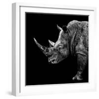 Safari Profile Collection - Rhino Black Edition II-Philippe Hugonnard-Framed Photographic Print