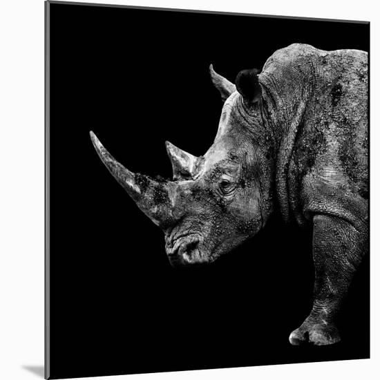Safari Profile Collection - Rhino Black Edition II-Philippe Hugonnard-Mounted Photographic Print