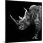 Safari Profile Collection - Rhino Black Edition II-Philippe Hugonnard-Mounted Photographic Print