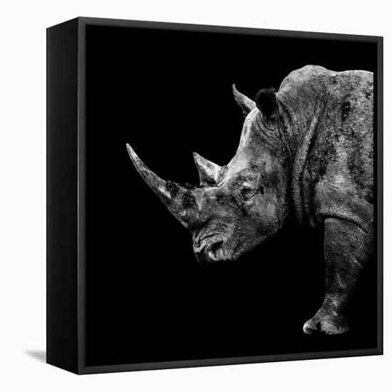 Safari Profile Collection - Rhino Black Edition II-Philippe Hugonnard-Framed Stretched Canvas