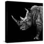 Safari Profile Collection - Rhino Black Edition II-Philippe Hugonnard-Stretched Canvas