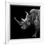 Safari Profile Collection - Rhino Black Edition II-Philippe Hugonnard-Framed Photographic Print