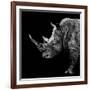 Safari Profile Collection - Rhino Black Edition II-Philippe Hugonnard-Framed Photographic Print