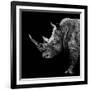 Safari Profile Collection - Rhino Black Edition II-Philippe Hugonnard-Framed Photographic Print