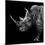 Safari Profile Collection - Rhino Black Edition II-Philippe Hugonnard-Mounted Photographic Print