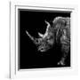 Safari Profile Collection - Rhino Black Edition II-Philippe Hugonnard-Framed Photographic Print