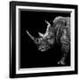 Safari Profile Collection - Rhino Black Edition II-Philippe Hugonnard-Framed Photographic Print