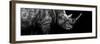 Safari Profile Collection - Rhino Black Edition III-Philippe Hugonnard-Framed Photographic Print