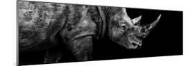 Safari Profile Collection - Rhino Black Edition III-Philippe Hugonnard-Mounted Photographic Print