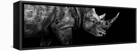 Safari Profile Collection - Rhino Black Edition III-Philippe Hugonnard-Framed Stretched Canvas