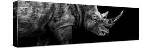 Safari Profile Collection - Rhino Black Edition III-Philippe Hugonnard-Stretched Canvas