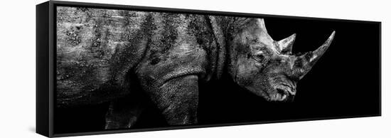 Safari Profile Collection - Rhino Black Edition III-Philippe Hugonnard-Framed Stretched Canvas