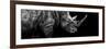 Safari Profile Collection - Rhino Black Edition III-Philippe Hugonnard-Framed Photographic Print