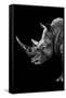 Safari Profile Collection - Rhino Black Edition IV-Philippe Hugonnard-Framed Stretched Canvas