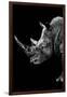 Safari Profile Collection - Rhino Black Edition IV-Philippe Hugonnard-Framed Photographic Print