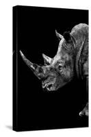 Safari Profile Collection - Rhino Black Edition IV-Philippe Hugonnard-Stretched Canvas