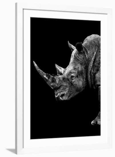 Safari Profile Collection - Rhino Black Edition IV-Philippe Hugonnard-Framed Photographic Print
