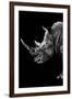 Safari Profile Collection - Rhino Black Edition IV-Philippe Hugonnard-Framed Photographic Print