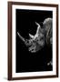 Safari Profile Collection - Rhino Black Edition IV-Philippe Hugonnard-Framed Photographic Print