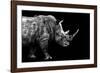 Safari Profile Collection - Rhino Black Edition-Philippe Hugonnard-Framed Photographic Print