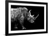 Safari Profile Collection - Rhino Black Edition-Philippe Hugonnard-Framed Photographic Print