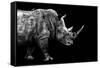 Safari Profile Collection - Rhino Black Edition-Philippe Hugonnard-Framed Stretched Canvas