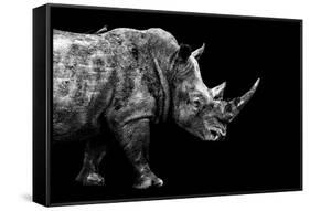 Safari Profile Collection - Rhino Black Edition-Philippe Hugonnard-Framed Stretched Canvas