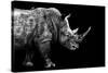 Safari Profile Collection - Rhino Black Edition-Philippe Hugonnard-Stretched Canvas
