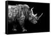 Safari Profile Collection - Rhino Black Edition-Philippe Hugonnard-Framed Stretched Canvas