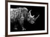 Safari Profile Collection - Rhino Black Edition-Philippe Hugonnard-Framed Photographic Print