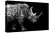 Safari Profile Collection - Rhino Black Edition-Philippe Hugonnard-Stretched Canvas