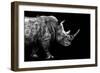 Safari Profile Collection - Rhino Black Edition-Philippe Hugonnard-Framed Photographic Print