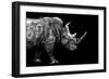 Safari Profile Collection - Rhino Black Edition-Philippe Hugonnard-Framed Photographic Print