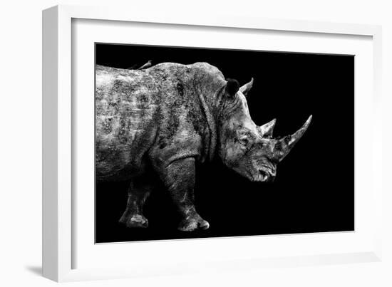 Safari Profile Collection - Rhino Black Edition-Philippe Hugonnard-Framed Photographic Print