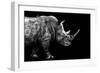 Safari Profile Collection - Rhino Black Edition-Philippe Hugonnard-Framed Photographic Print