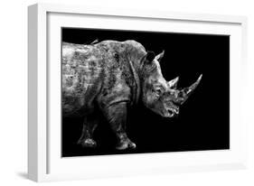 Safari Profile Collection - Rhino Black Edition-Philippe Hugonnard-Framed Photographic Print