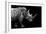 Safari Profile Collection - Rhino Black Edition-Philippe Hugonnard-Framed Photographic Print