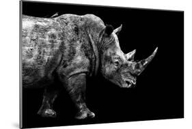 Safari Profile Collection - Rhino Black Edition-Philippe Hugonnard-Mounted Photographic Print