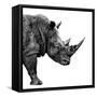 Safari Profile Collection - Rhino White Edition II-Philippe Hugonnard-Framed Stretched Canvas