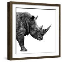 Safari Profile Collection - Rhino White Edition II-Philippe Hugonnard-Framed Photographic Print