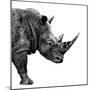 Safari Profile Collection - Rhino White Edition II-Philippe Hugonnard-Mounted Photographic Print
