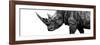 Safari Profile Collection - Rhino White Edition III-Philippe Hugonnard-Framed Photographic Print