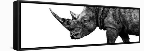 Safari Profile Collection - Rhino White Edition III-Philippe Hugonnard-Framed Stretched Canvas