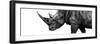 Safari Profile Collection - Rhino White Edition III-Philippe Hugonnard-Framed Photographic Print