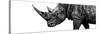 Safari Profile Collection - Rhino White Edition III-Philippe Hugonnard-Stretched Canvas