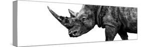 Safari Profile Collection - Rhino White Edition III-Philippe Hugonnard-Stretched Canvas