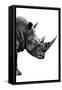 Safari Profile Collection - Rhino White Edition IV-Philippe Hugonnard-Framed Stretched Canvas