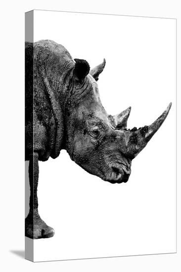 Safari Profile Collection - Rhino White Edition IV-Philippe Hugonnard-Stretched Canvas