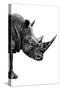 Safari Profile Collection - Rhino White Edition IV-Philippe Hugonnard-Stretched Canvas